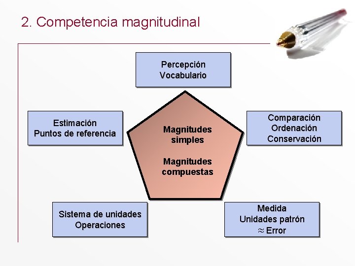 2. Competencia magnitudinal Percepción Vocabulario Estimación Puntos de referencia Magnitudes simples Comparación Ordenación Conservación