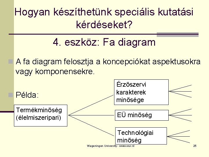 Hogyan készíthetünk speciális kutatási kérdéseket? 4. eszköz: Fa diagram n A fa diagram felosztja