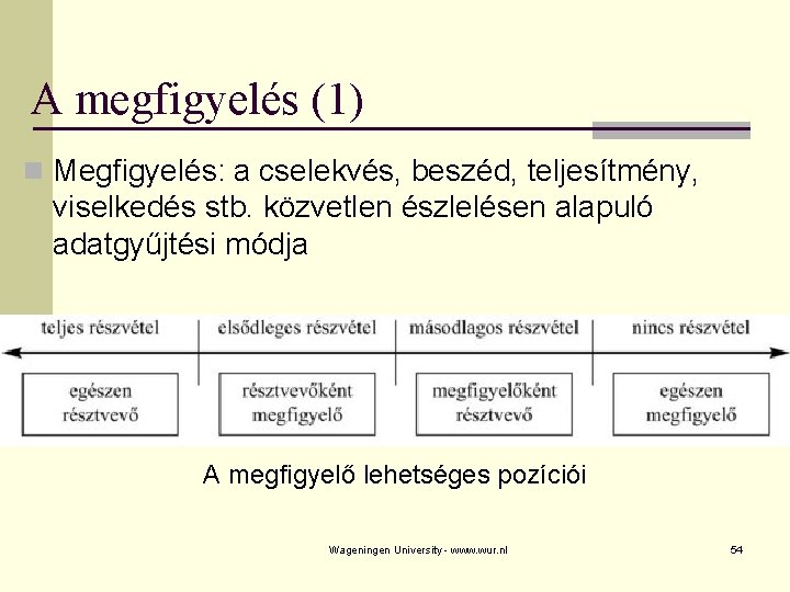 A megfigyelés (1) n Megfigyelés: a cselekvés, beszéd, teljesítmény, viselkedés stb. közvetlen észlelésen alapuló