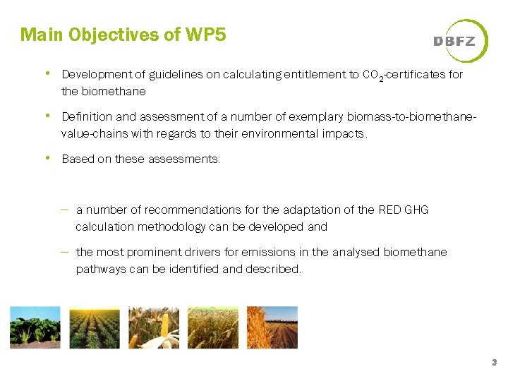 Main Objectives of WP 5 • Development of guidelines on calculating entitlement to CO