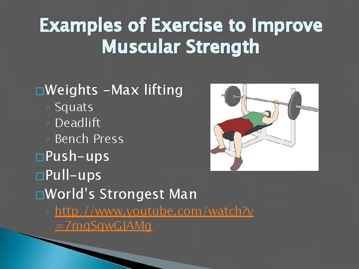 Examples of Exercise to Improve Muscular Strength � Weights -Max lifting ◦ Squats ◦