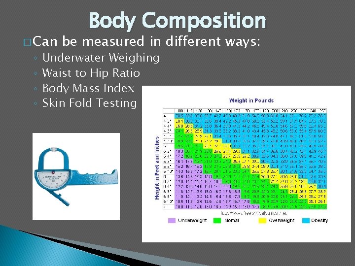 � Can ◦ ◦ Body Composition be measured in different ways: Underwater Weighing Waist