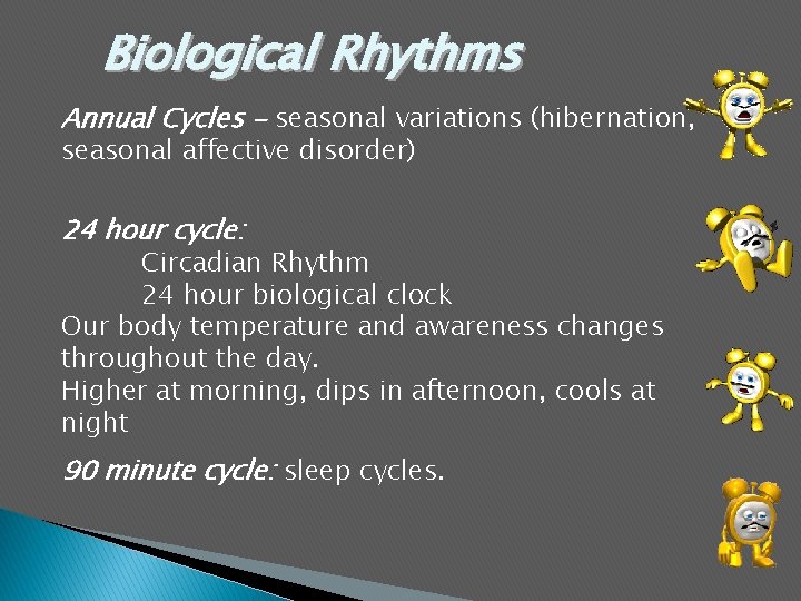 Biological Rhythms Annual Cycles - seasonal variations (hibernation, seasonal affective disorder) 24 hour cycle: