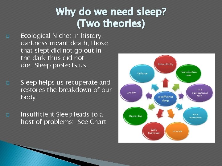 Why do we need sleep? (Two theories) q q q Ecological Niche: In history,