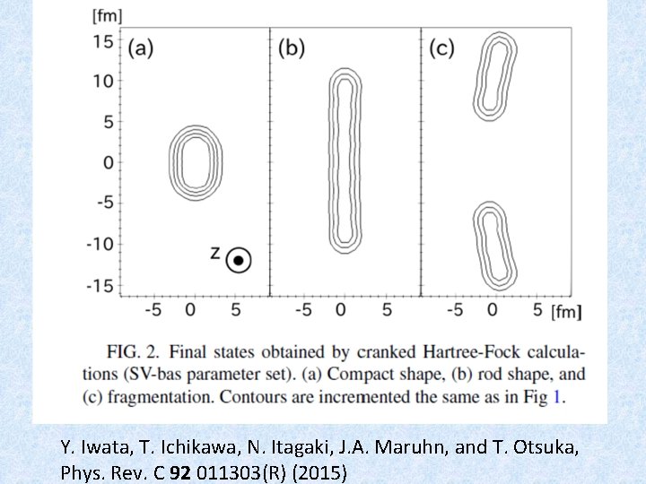 Y. Iwata, T. Ichikawa, N. Itagaki, J. A. Maruhn, and T. Otsuka, Phys. Rev.