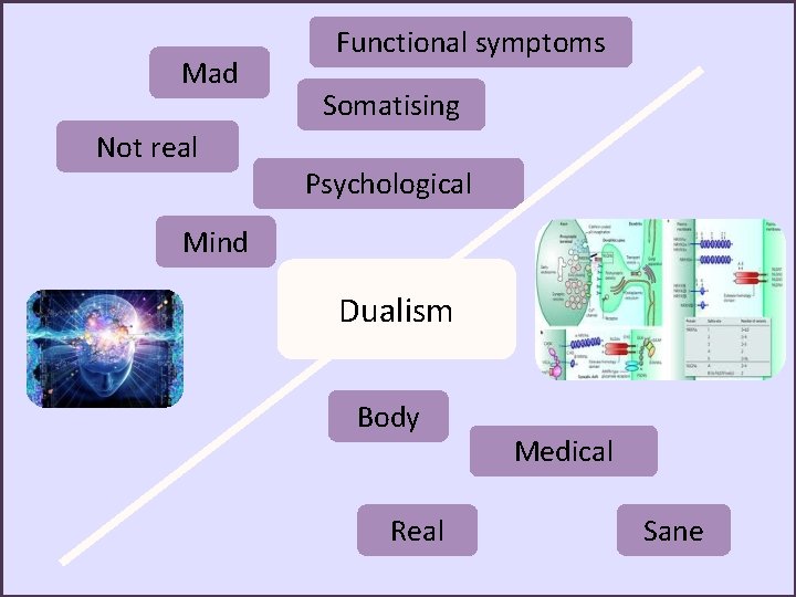 Mad Not real Functional symptoms Somatising Psychological Mind Dualism Body Real Medical Sane 