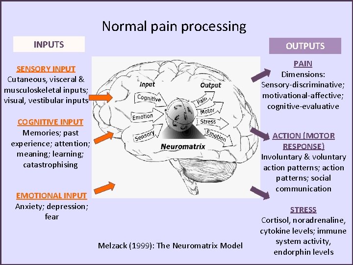 Normal pain processing INPUTS OUTPUTS PAIN Dimensions: Sensory-discriminative; motivational-affective; cognitive-evaluative SENSORY INPUT Cutaneous, visceral