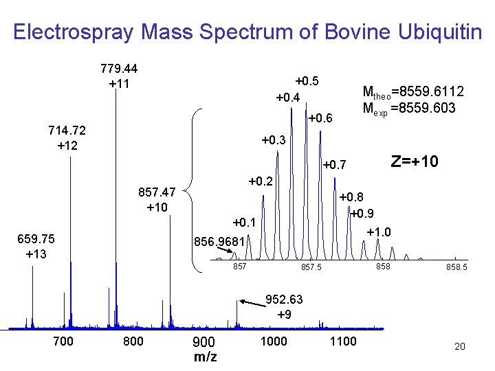 Electrospray Mass Spectrum of Bovine Ubiquitin 779. 44 +11 +0. 5 +0. 4 Mtheo=8559.