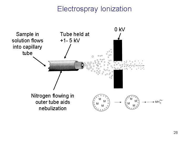 Electrospray Ionization Sample in solution flows into capillary tube Tube held at +1 -
