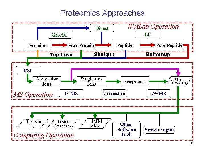 Proteomics Approaches Wet. Lab Operation Digest LC Gel/AC Proteins Pure Protein Topdown Peptides Pure