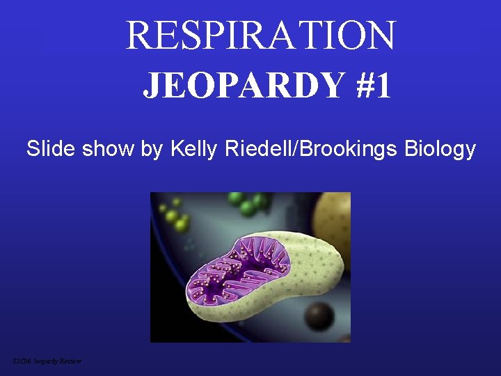 RESPIRATION JEOPARDY #1 Slide show by Kelly Riedell/Brookings Biology S 2 C 06 Jeopardy