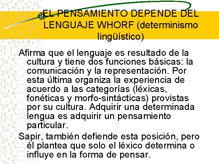 EL PENSAMIENTO DEPENDE DEL LENGUAJE WHORF (determinismo lingüístico) Afirma que el lenguaje es resultado