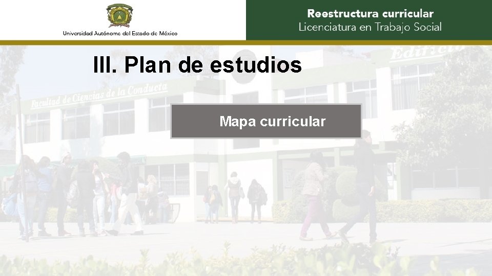 III. Plan de estudios Mapa curricular 