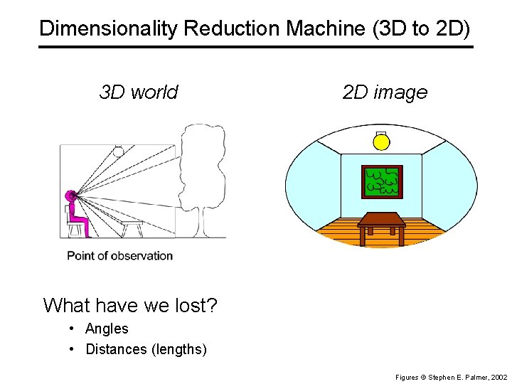 Dimensionality Reduction Machine (3 D to 2 D) 3 D world 2 D image