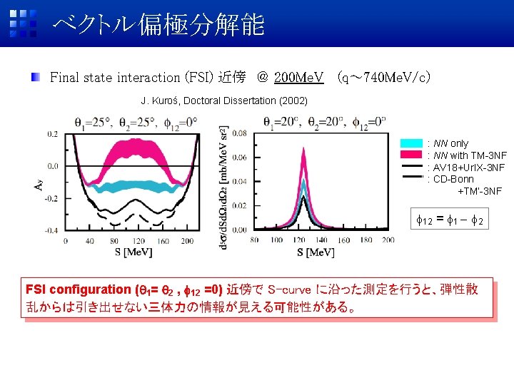 ベクトル偏極分解能 Final state interaction (FSI) 近傍 ＠ 200 Me. V (q～ 740 Me. V/c)