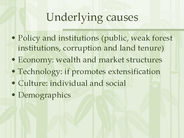 Underlying causes • Policy and institutions (public, weak forest institutions, corruption and land tenure)