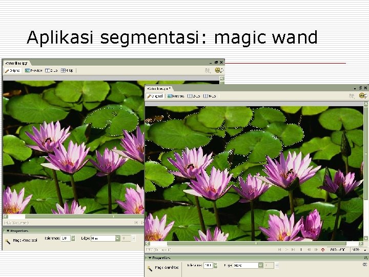 Aplikasi segmentasi: magic wand 