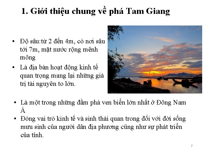 1. Giới thiệu chung về phá Tam Giang • Độ sâu: từ 2 đến