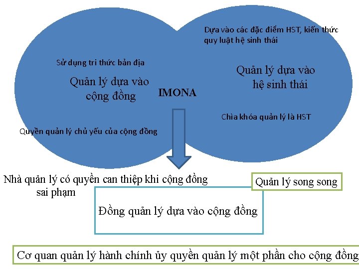 Dựa vào các đặc điểm HST, kiến thức quy luật hệ sinh thái Sử