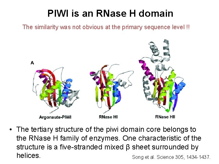 PIWI is an RNase H domain The similarity was not obvious at the primary