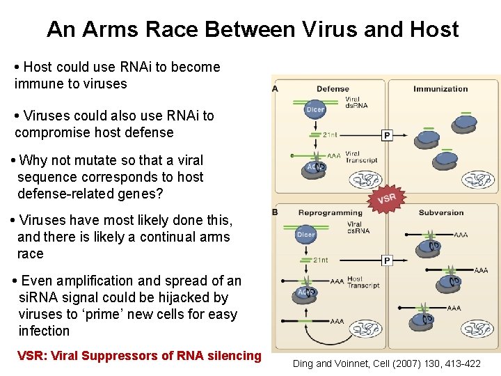 An Arms Race Between Virus and Host • Host could use RNAi to become