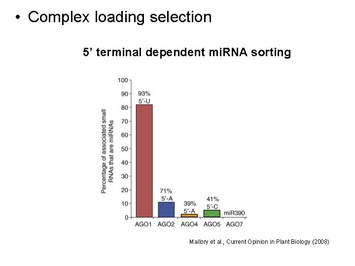  • Complex loading selection 5’ terminal dependent mi. RNA sorting Mallory et al.