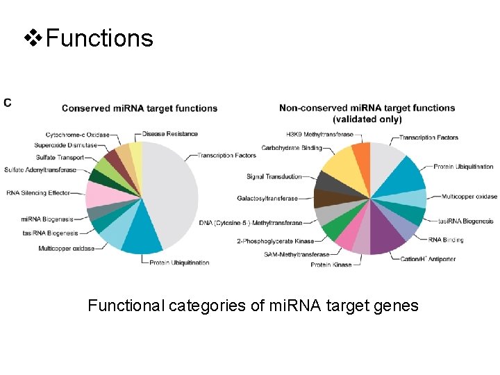 v. Functions Functional categories of mi. RNA target genes 