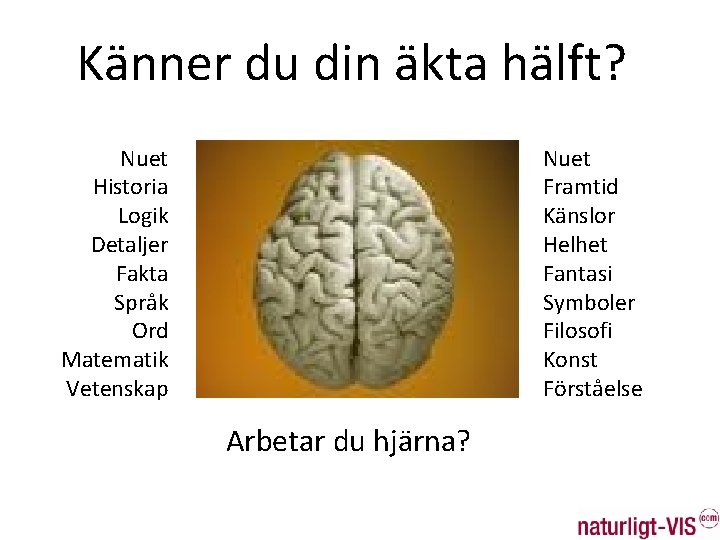 Känner du din äkta hälft? Nuet Historia Logik Detaljer Fakta Språk Ord Matematik Vetenskap