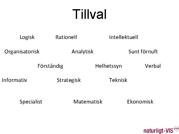 Tillval Logisk Rationell Organisatorisk Analytisk Förståndig Informativ Specialist Intellektuell Sunt förnuft Helhetssyn Strategisk Matematisk