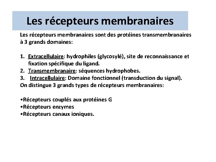 Les récepteurs membranaires sont des protéines transmembranaires à 3 grands domaines: 1. Extracellulaire: hydrophiles