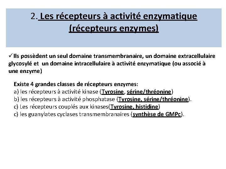 2. Les récepteurs à activité enzymatique (récepteurs enzymes) üIls possèdent un seul domaine transmembranaire,