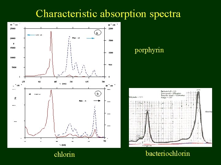 Characteristic absorption spectra porphyrin chlorin bacteriochlorin 