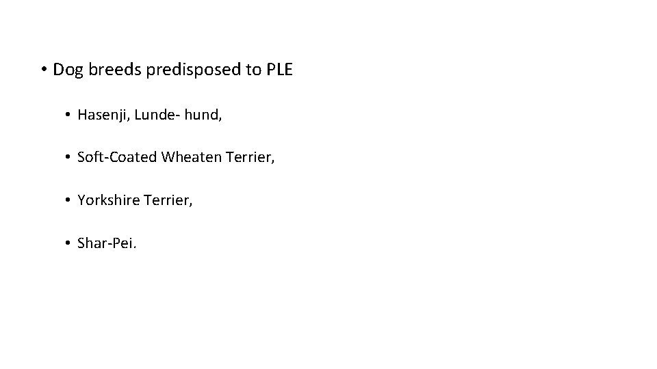  • Dog breeds predisposed to PLE • Hasenji, Lunde- hund, • Soft-Coated Wheaten