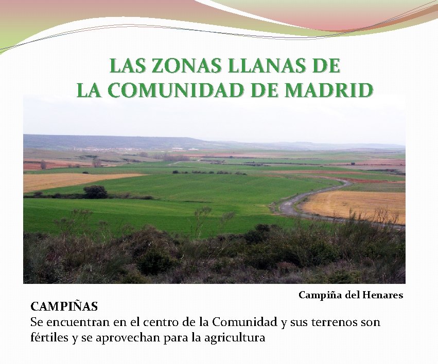 LAS ZONAS LLANAS DE LA COMUNIDAD DE MADRID Campiña del Henares CAMPIÑAS Se encuentran