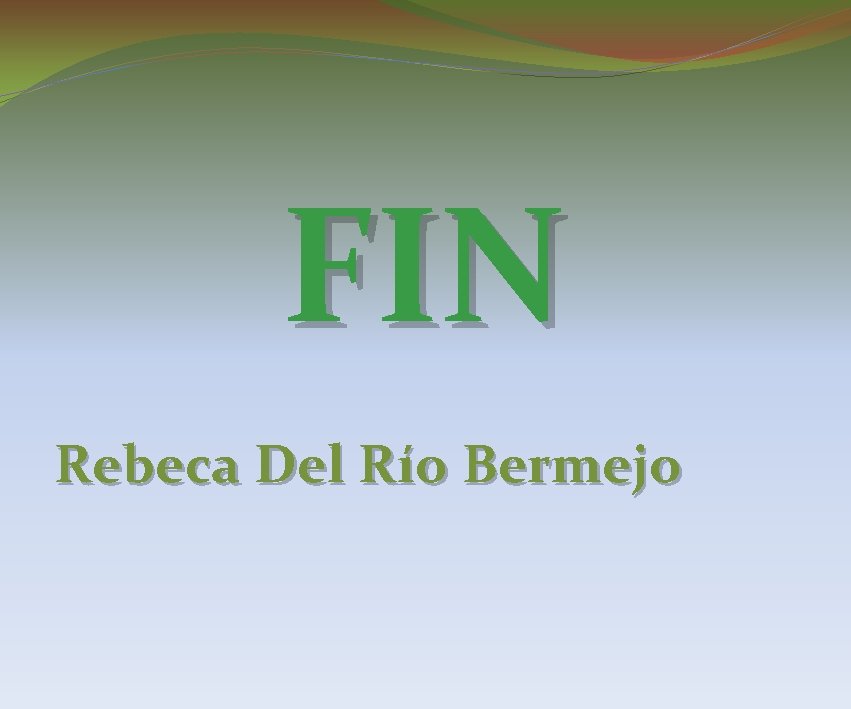 FIN Rebeca Del Río Bermejo 