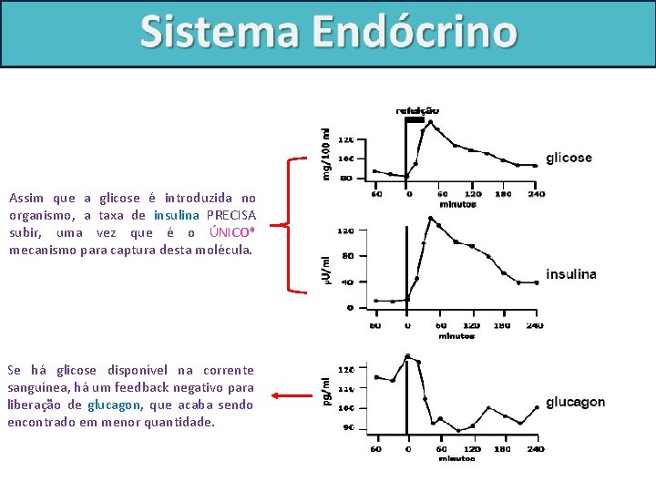 Assim que a glicose é introduzida no organismo, a taxa de insulina PRECISA subir,
