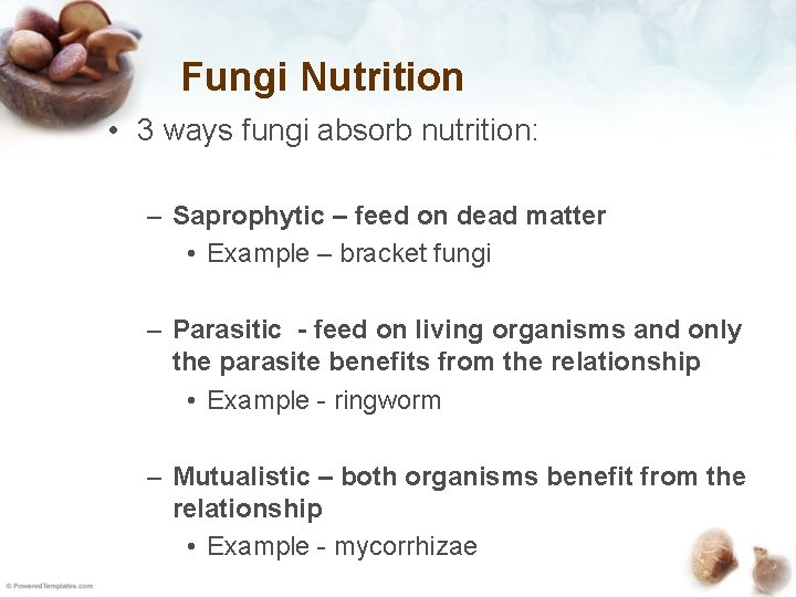 Fungi Nutrition • 3 ways fungi absorb nutrition: – Saprophytic – feed on dead