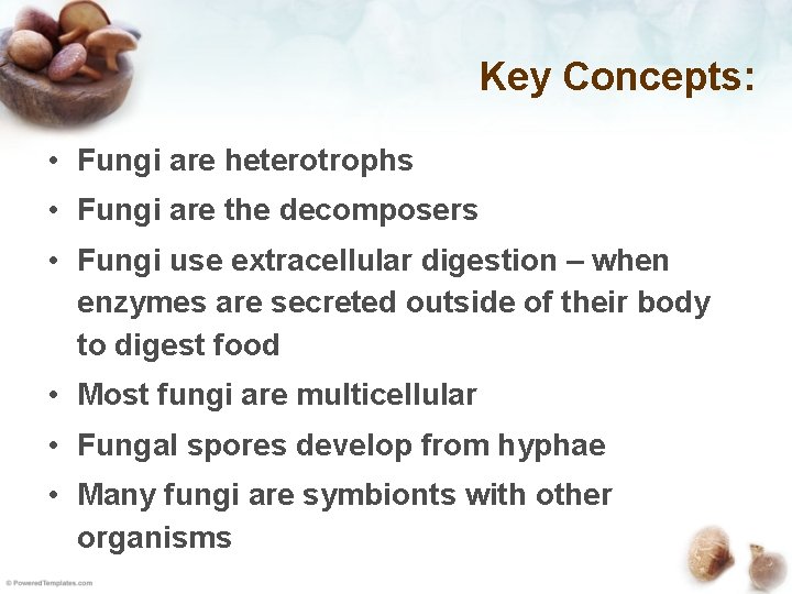 Key Concepts: • Fungi are heterotrophs • Fungi are the decomposers • Fungi use