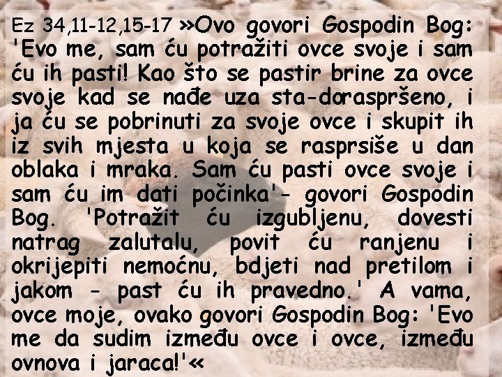 Ez 34, 11 -12, 15 -17 » Ovo govori Gospodin Bog: 'Evo me, sam