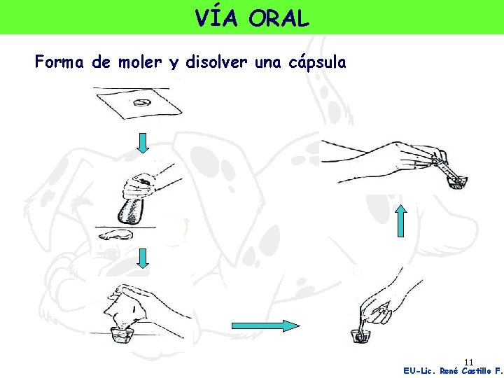 VÍA ORAL Forma de moler y disolver una cápsula 11 EU-Lic. René Castillo F.