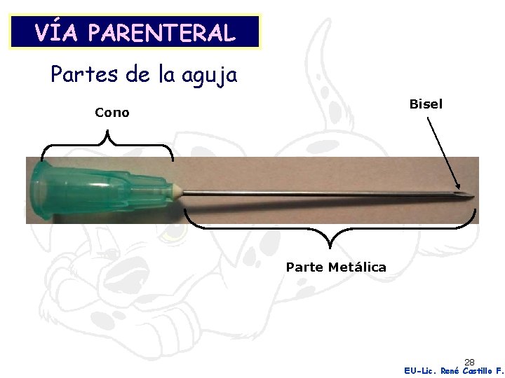 VÍA PARENTERAL Partes de la aguja Bisel Cono Parte Metálica 28 EU-Lic. René Castillo
