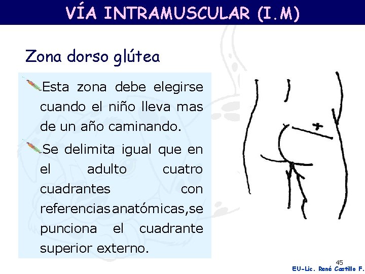 VÍA INTRAMUSCULAR (I. M) Zona dorso glútea Esta zona debe elegirse cuando el niño