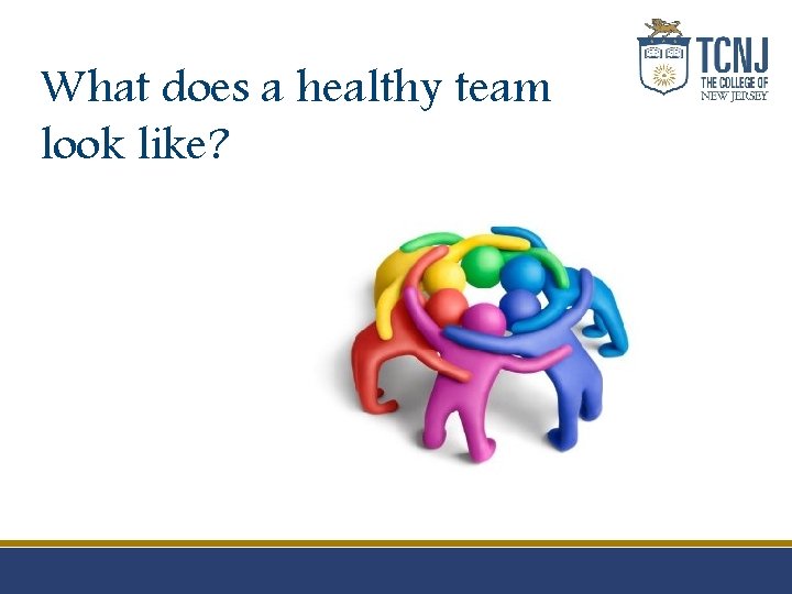 What does a healthy team look like? 