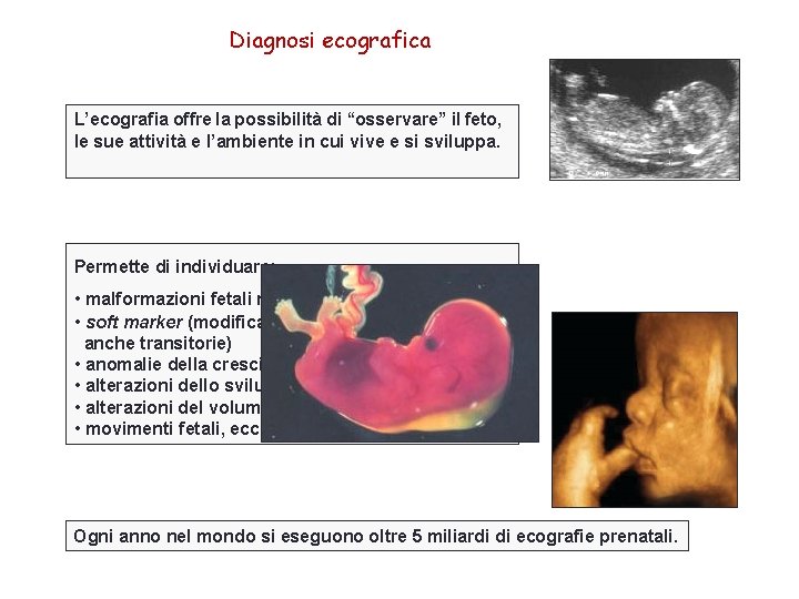 Diagnosi ecografica L’ecografia offre la possibilità di “osservare” il feto, le sue attività e