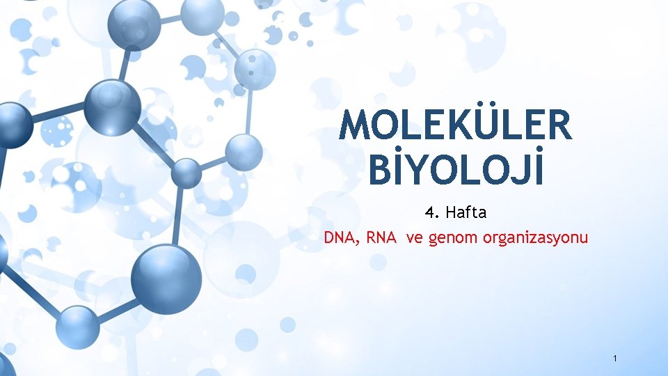 MOLEKÜLER BİYOLOJİ 4. Hafta DNA, RNA ve genom organizasyonu 1 