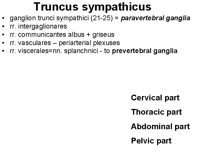 Truncus sympathicus • • • ganglion trunci sympathici (21 -25) = paravertebral ganglia rr.