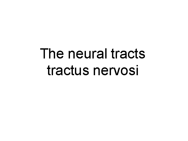 The neural tracts tractus nervosi 