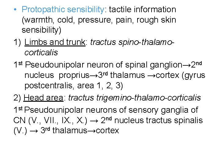 • Protopathic sensibility: tactile information (warmth, cold, pressure, pain, rough skin sensibility) 1)