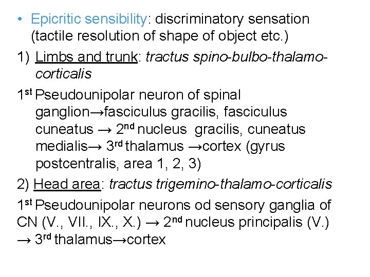 • Epicritic sensibility: discriminatory sensation (tactile resolution of shape of object etc. )