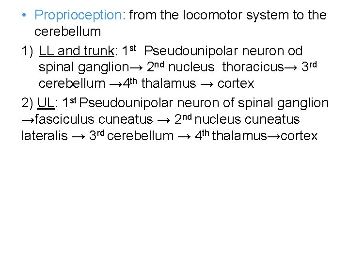  • Proprioception: from the locomotor system to the cerebellum 1) LL and trunk: